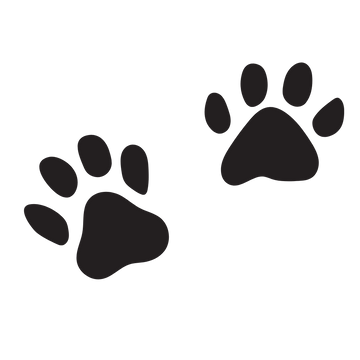 Animal Paws