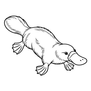 Platypus