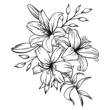 Three Flowers